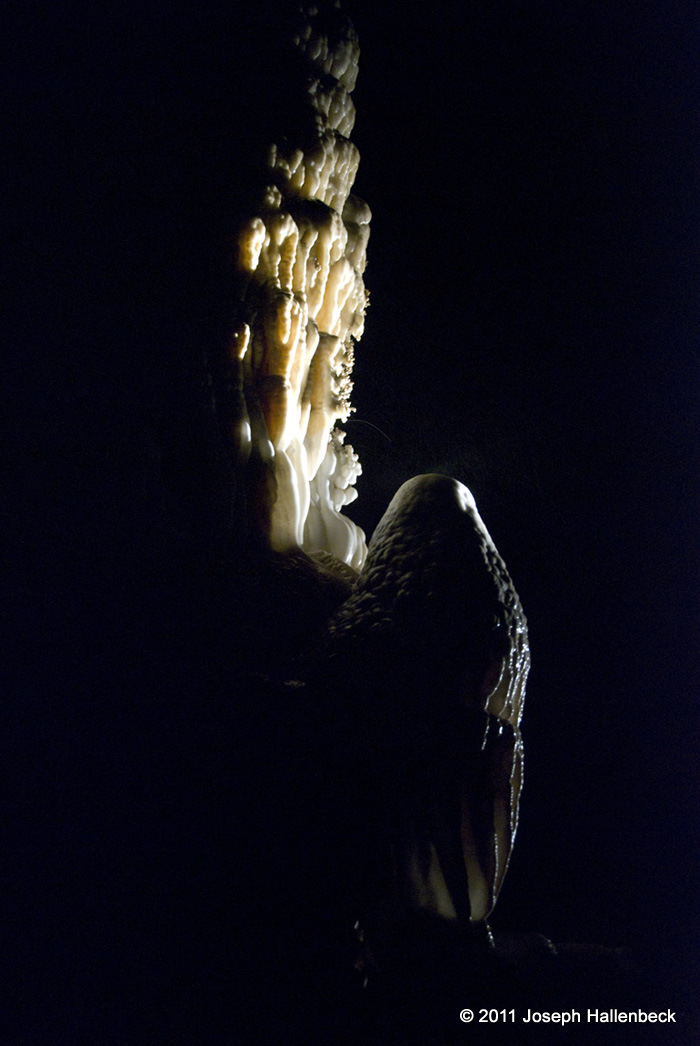 Carlsebad Caverns Stalagmite
