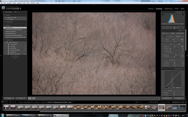 Lightroom Step1